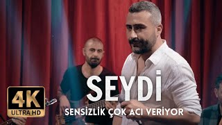 Seydi - Sensizlik Çok Acı Veriyor  Resimi