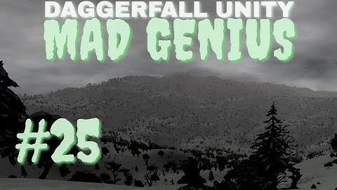PROCEDURALLY GENERATED IRONY | Daggerfall Unity, MAD GENIUS - Part 25