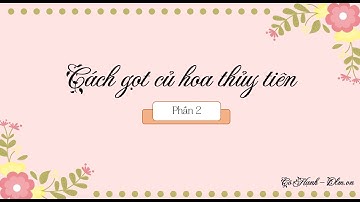 Cách gọt củ hoa thủy tiên (Phần 2) - Ngữ văn 7 (Chân trời sáng tạo) [OLM.VN]