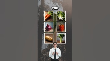 Are you able to answer all of them?#quiz #quiztime  #viralvideo  #youtubeshorts  #riddles