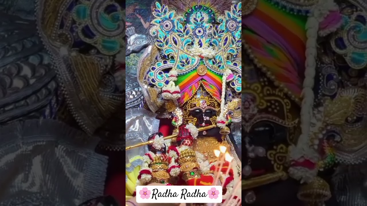 Today's Divine 4 Darshan 