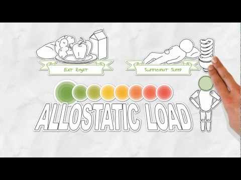 allostasis