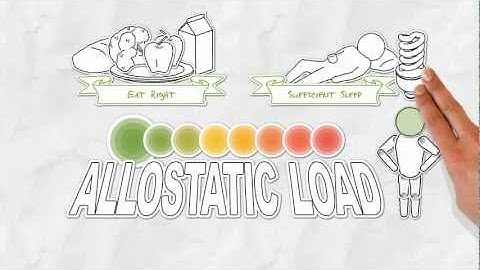 The Allostatic Load