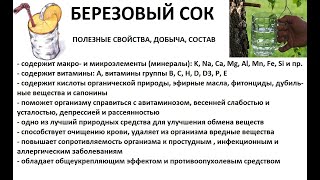 БЕРЕЗОВЫЙ СОК: полезные свойства, состав, приспособления и сбор березового сока