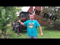 Massey 1805 trans adapter shaft replacement