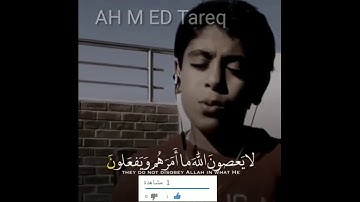 أنس شهاب _ تلاوه هادئه جدا اسمعها قبل النوم