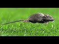 Как отключить акселерацию мыши и что это такое?