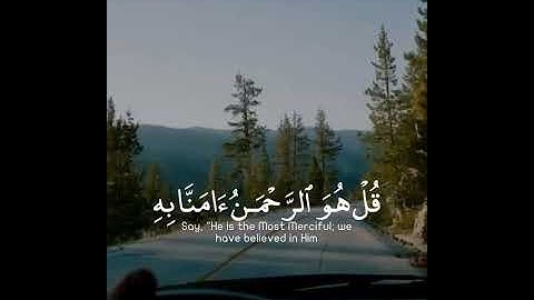 القرآن الكريم | قُلْ هُوَ الرَّحْمَٰنُ آمَنَّا بِهِ وَعَلَيْهِ تَوَكَّلْنَا | سورة الملك