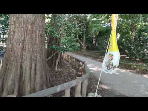 4K Inokashira Pond Mitaka Shi Tokyo Japan