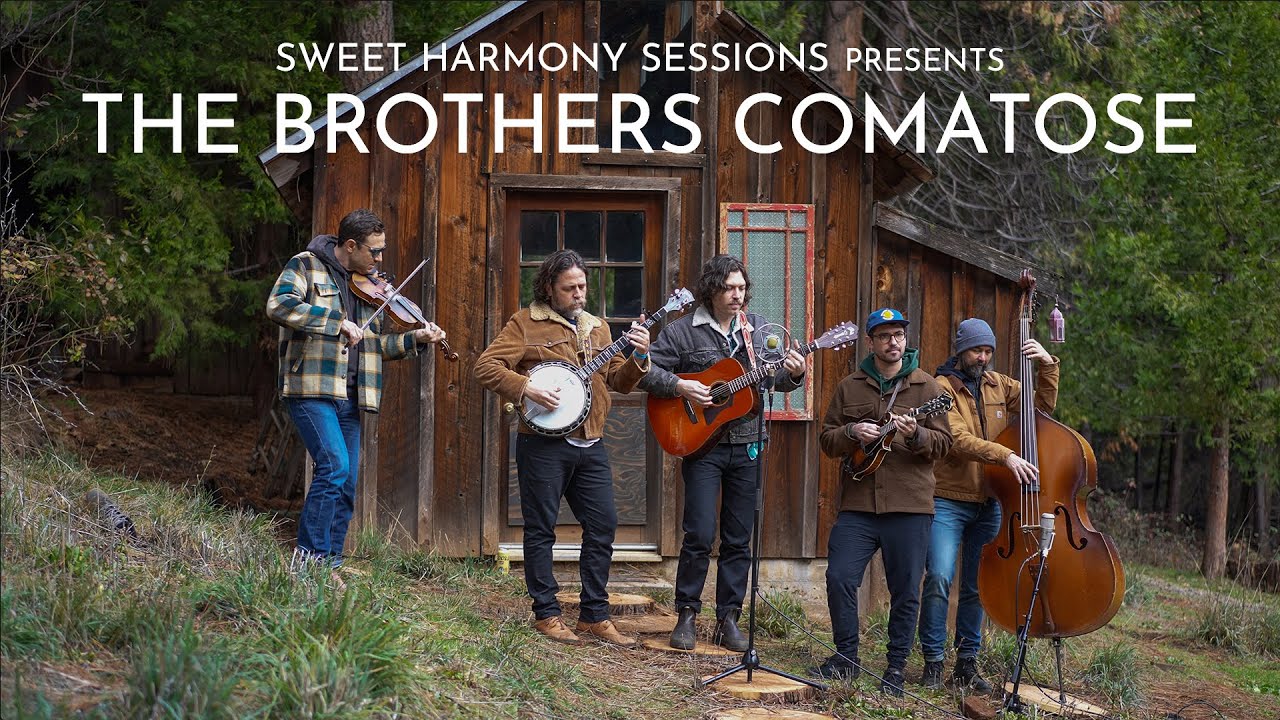 The Brothers Comatose | Too Many Places | Sweet Harmony Sessions The Brothers Comatose | Too Many Places | Sweet Harmony Sessions