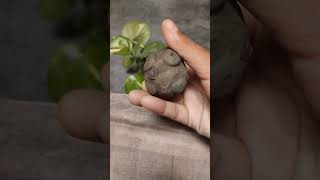 Angry bird টি ভিজে গেছে 😔 #angrybirds #clay #pottery #diy #shorts #viral