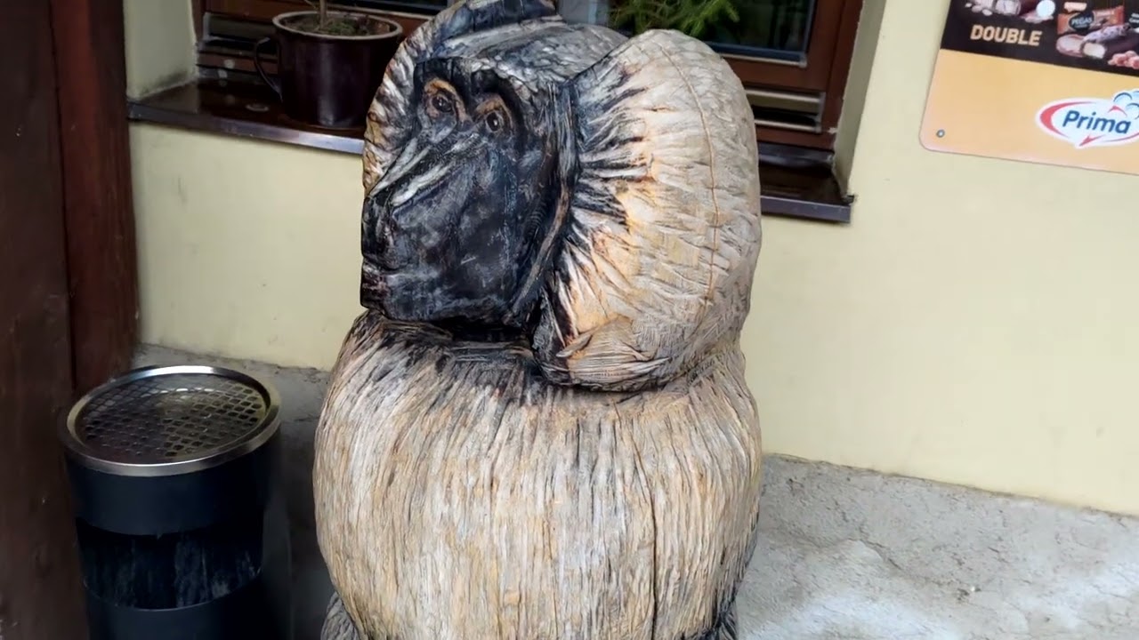 Videoprocházky lesem - Brdy - Halouny, jak jsme nedošly na Rochoty, zámek Svinaře by Iveta Honzová