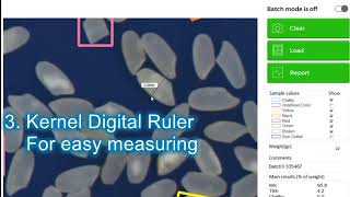 How To Read Analyze Results In Vibe QM3 Rice Analyzer