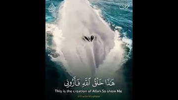 المنشاوي /قرآن كريم♥️ /مقاطع قصيرة💙/حالات واتساب💚/تلاوة عطرة💜