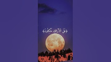 {إِنَّ أَصْحَابَ الْجَنَّةِ الْيَوْمَ فِي شُغُلٍ فَاكِهُونَ}[] القارئ احمد النفيس 🤍