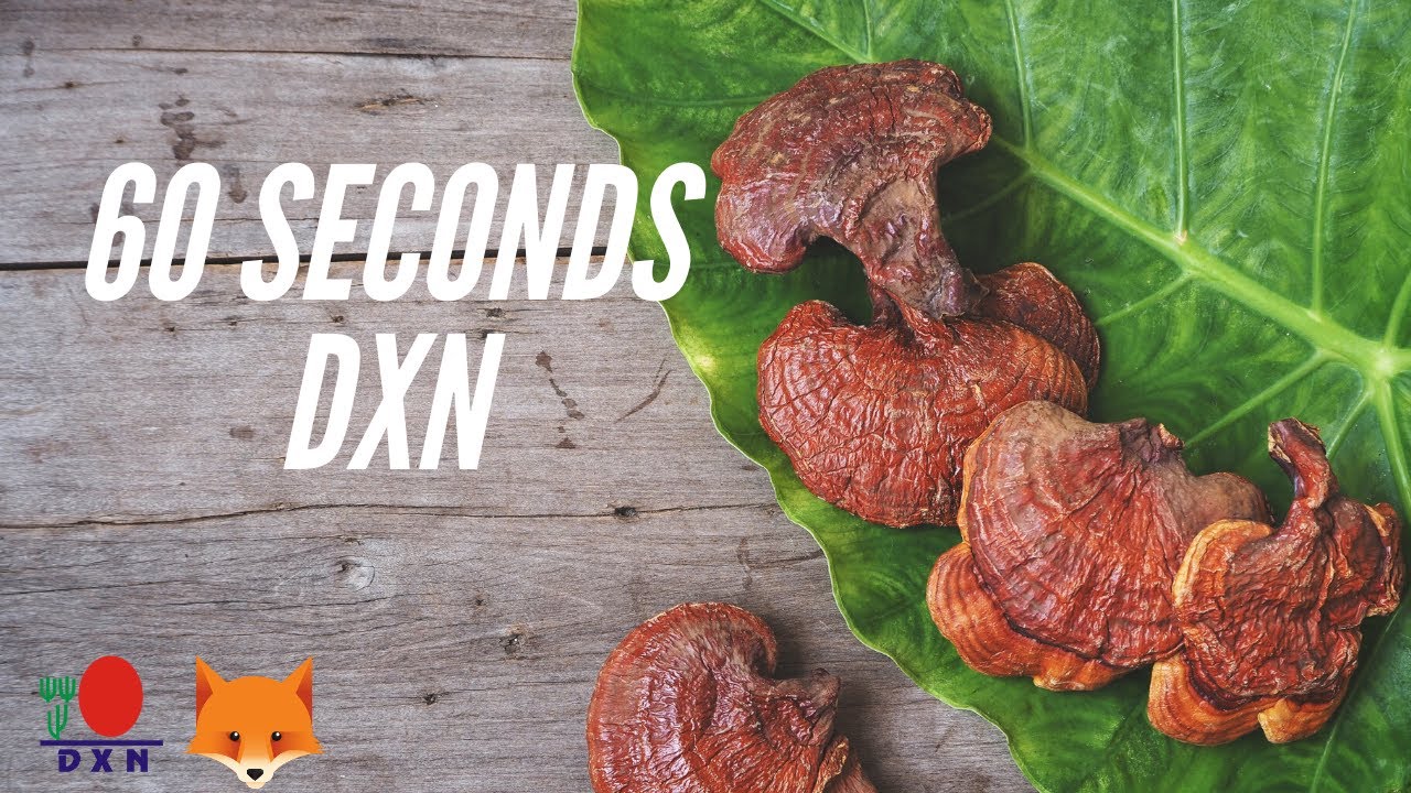 60 seconds DXN: Aloe Vera Aqua Gel by Tina Suelto