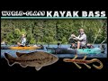 Kayak Bass Fishing New Lakes | BIG BASS Slugfest