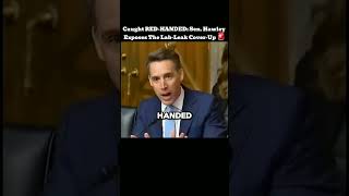 Sen Josh Hawley EXPLODES on Witness Over COVID Censorship Lab Leak Cover-Up