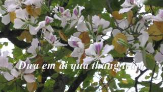 Miniatura de "Nong nan Ha Noi nguyen duc cuong lyrics"