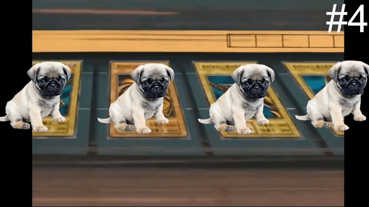 ESO PvP  Highlights #4 - IC Special, Memes, Funny Moments [Wolfshunter]