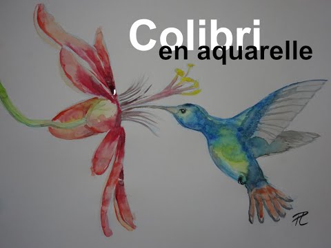 1re secondaire Dessin #8 Un oiseau, le colibri