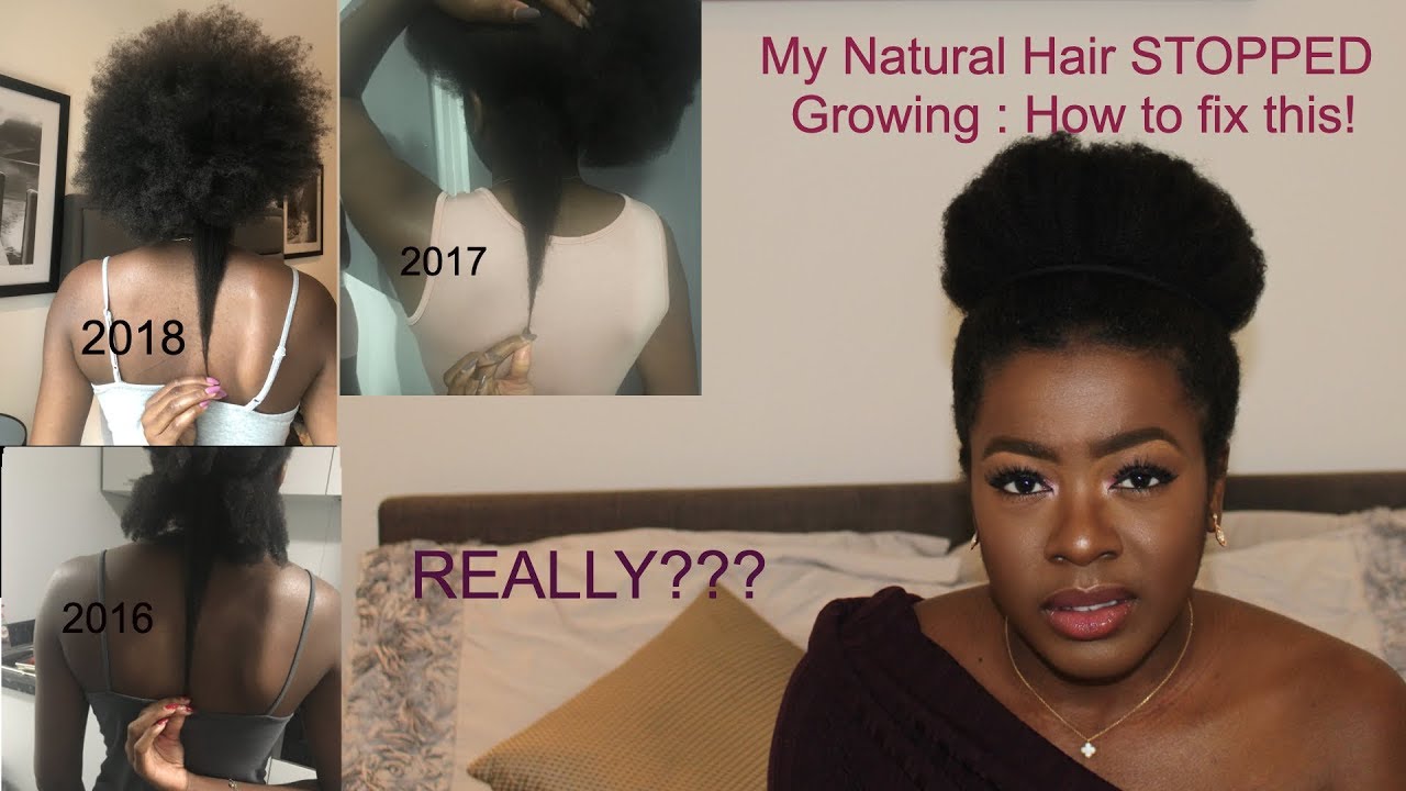 My Natural Hair Stopped Growing How To Fix This Asap Let S