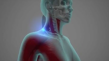 DM Orthotics introduction video MV22 V1