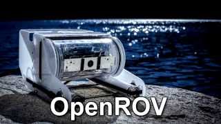 Celebrity Real-Time Monocular Underwater Obstacle Avoidance Wealth