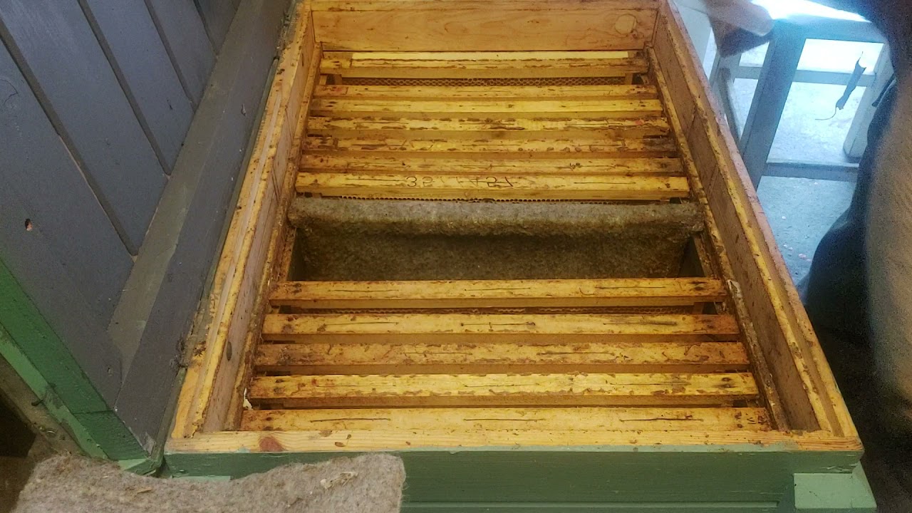 Vinkó Péter Hobbiméhészet Hőszigetelés, fekvőkaptár