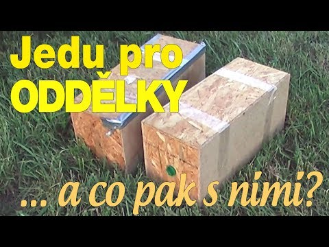 Video: Mám udělat rok umístění?