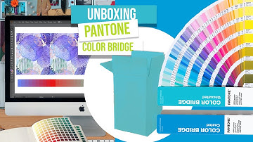 Unboxing Pantone Color Bridge Coated & Uncoated Set | RGB to CMYK Process 4 Color Chart | GP6102A