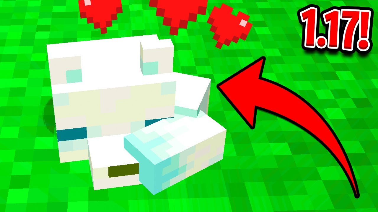 MINECRAFT 1.17: WYPRAWA PO BIAŁEGO LISKA! - YouTube