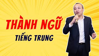 Thành ngữ thông dụng trong tiếng Trung