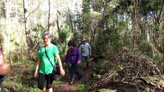hiking from the historic Santos Park to the Landbridge on the Florida Trail. screenshot 3