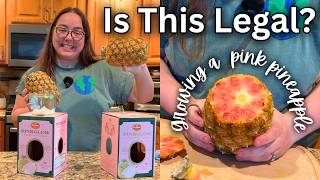 Can Pink Pineapple Seeds Germinate? Let’s Find Out