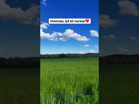 Dostu sevindirmelik☺️#öneçıkar #shortsviral #dostluk