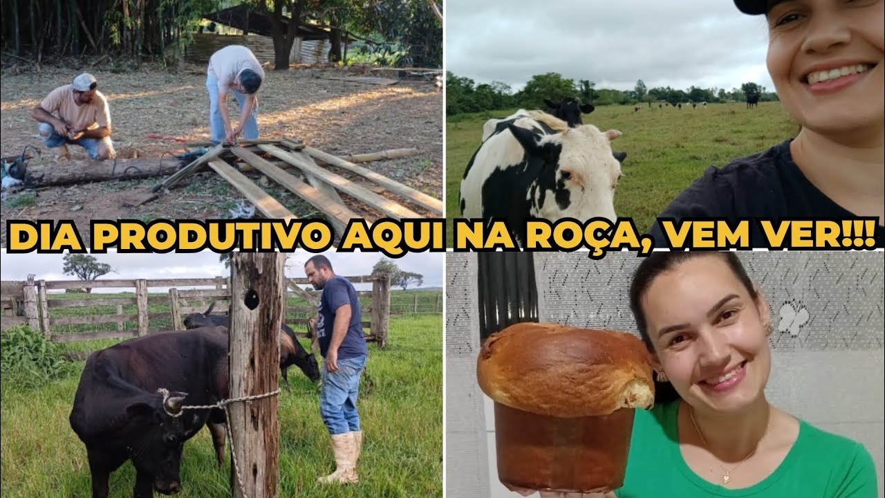 CASAL QUE LUTA JUNTO, VENCE JUNTO! DIA PRODUTIVO AQUI NA ROÇA/ RECEITA DE PANETONE E CHOCOTONE 💚