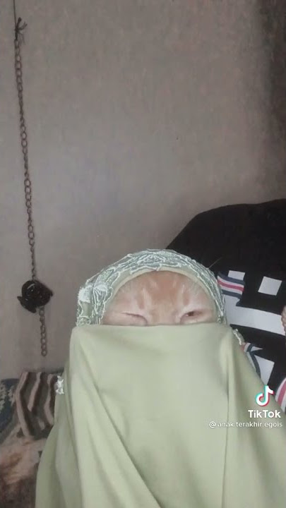 BUKA CADARMU 'AISYAH'
