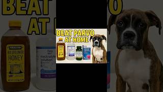 Beat Parvo at Home - What helped my dog escape death! #parvo #dog #helpful #activatedcharcoal #home
