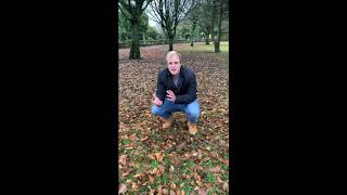 Where do insects go in Winter?
