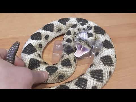 Фигурка змеи ромбический гремучник Safari Ltd 269329