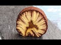 Rulo Kasırga Kek Tarifi | Hurricane Swiss Roll Cake | 飓风蛋糕卷