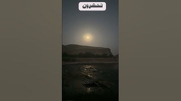 قل هو الذي أنشأكم وجعل لكم السمع والأبصار والأفئدة قليلا ما تشكرون (سورة الملك)