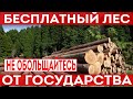 Бесплатный лес от государства на строительство! Не питайте иллюзий!