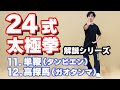 24式太極拳　解説　【11.単鞭（タンビエン）】【12.高探馬（ガオタンマ）】