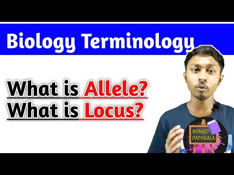Locus and Allele | Biology Terms