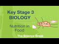 Key Stage 3 Biology: Nutrition Quiz