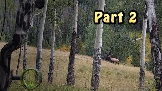 Colorado DIY OTC Elk Part 2