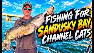 Sandusky Bay Channel Cats