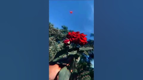 ગુજરાતી સાયરી જિંદગી 💞🤞👫... || love story